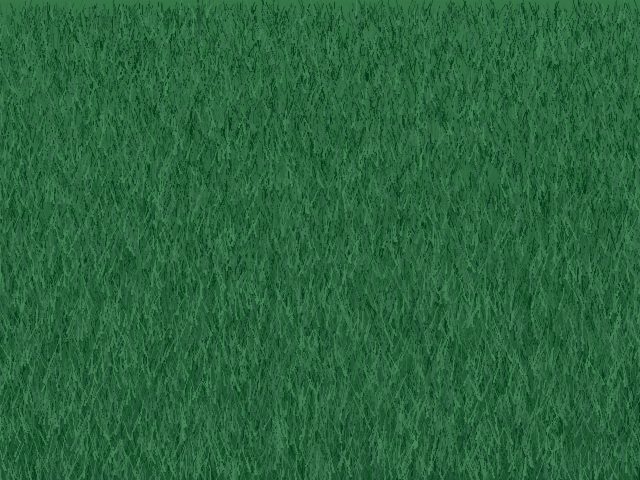 Empire Zoysia