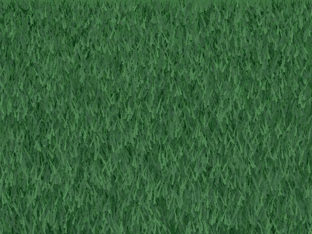 Palmetto Buffalo