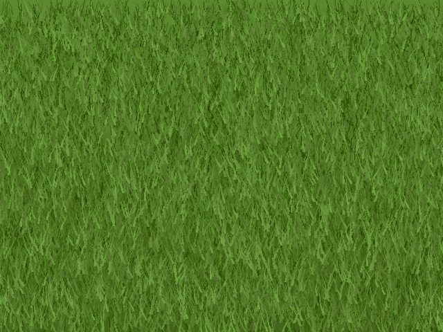 Premium Kikuyu