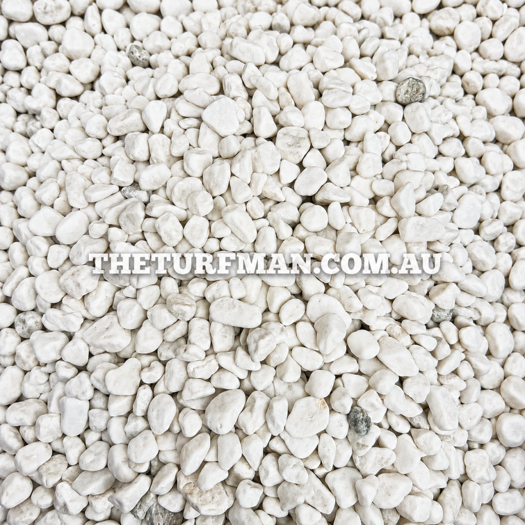 Snow White Grade A (0.8-1.2cm)